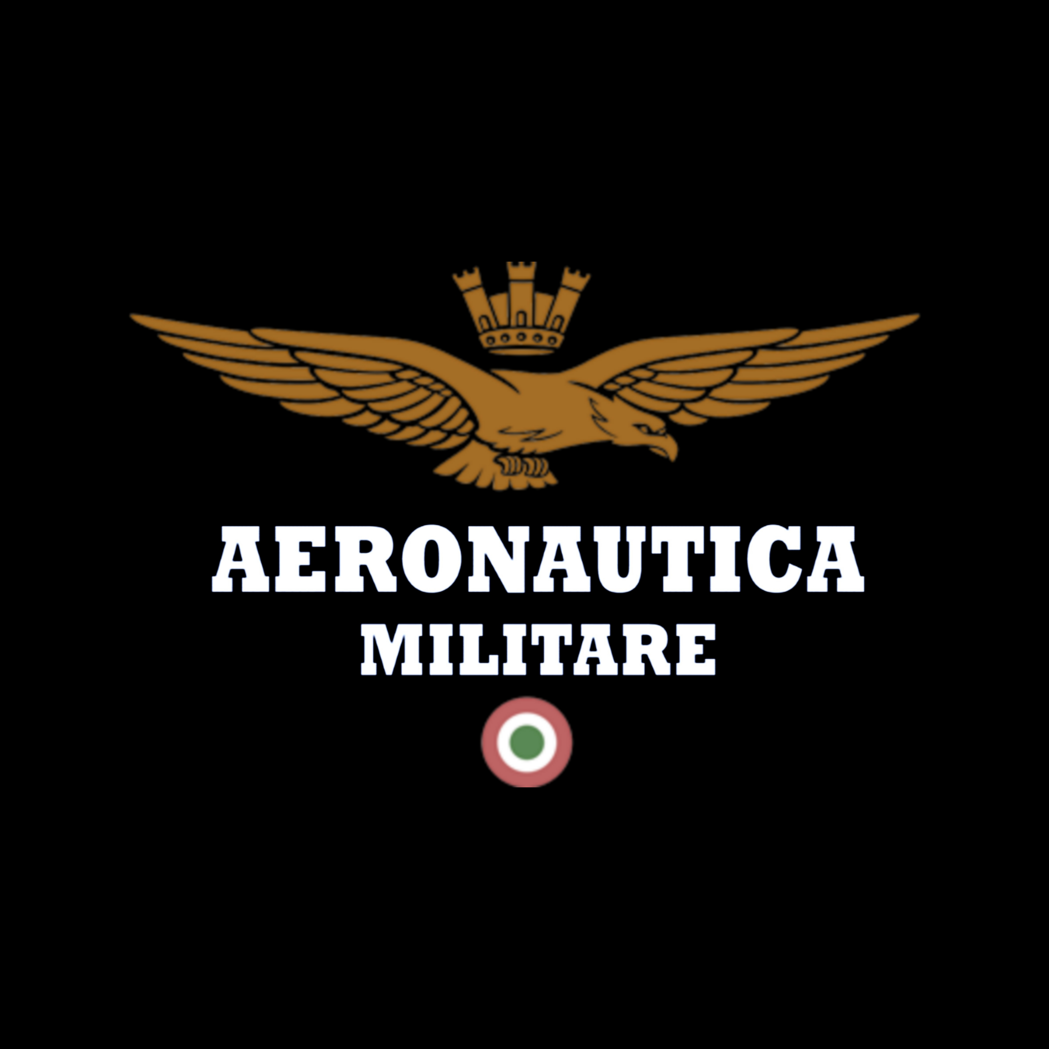 AERONAUTICA MILITARE lancia la Man SS22 - Montenapo Daily